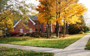 New Douglas IL Homes for Sale